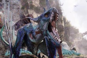 José Manuel Vidal Bravo